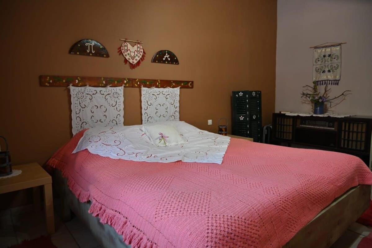 Kalavrita Winter Retreat - Homely Spacious Chalet Áno Vlasía Kültér fotó