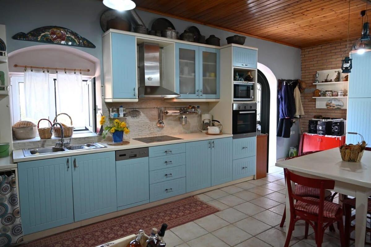 Kalavrita Winter Retreat - Homely Spacious Chalet Áno Vlasía Kültér fotó
